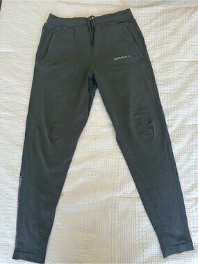 Alphalete Men’s Performance Joggers Charcoal Gray Size Medium Athletic Training